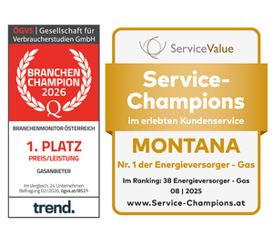 Siegel MONTANA Service Champion und Branchen Champion 2024